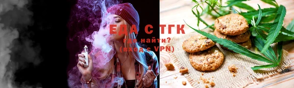 индика Аркадак