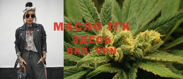 индика Аркадак