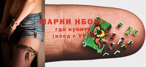 индика Аркадак