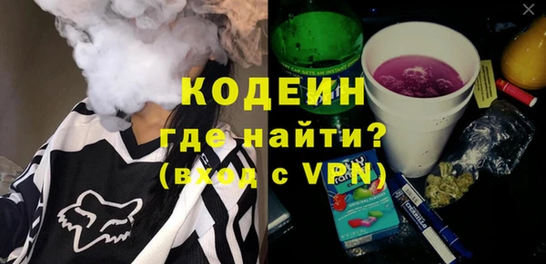 индика Аркадак
