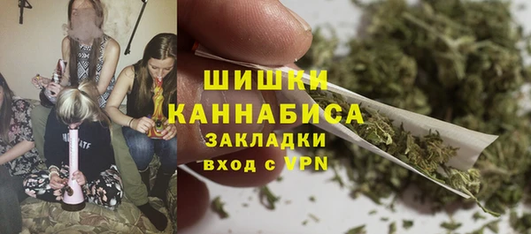 индика Аркадак