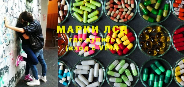индика Аркадак