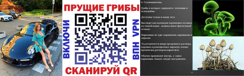 Псилоцибиновые грибы MAGIC MUSHROOMS  где купить   Поронайск 